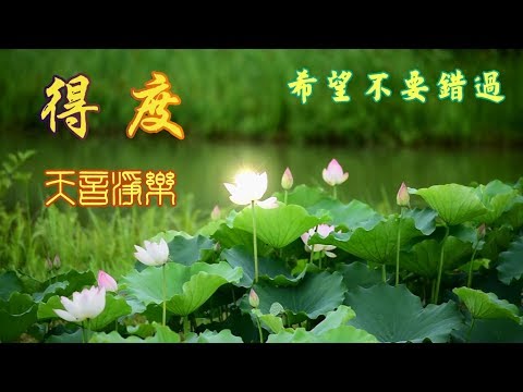 《得度》   MTV 希望不要錯過！