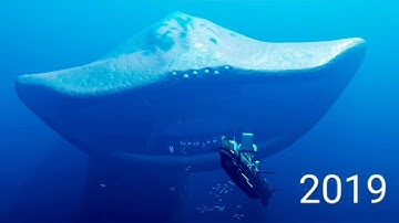 El gran maja evolution 1