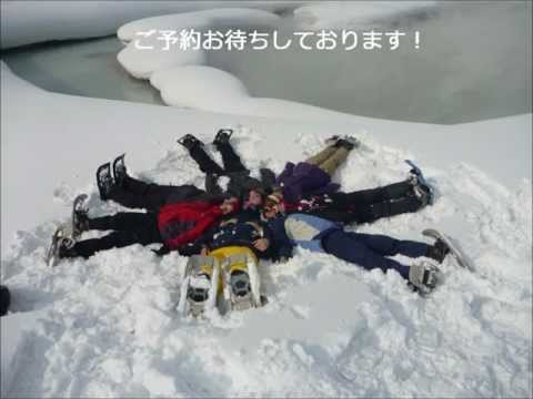 Niseko Hot Spring Snowshoeing ニセコスノーシューツアー - NOASC Niseko