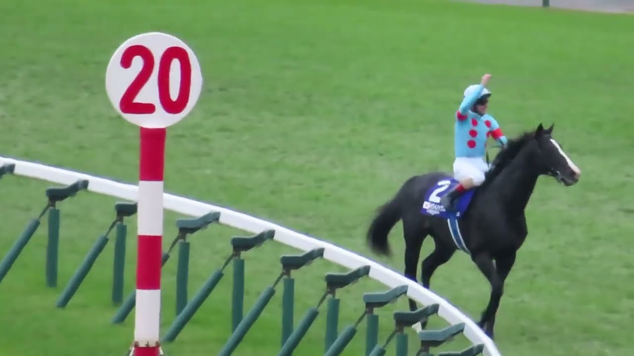 イクイノックス　鬣　たてがみ　2023ジャパンカップ　C・ルメール騎手直筆サイン イクイノックス 鬣 たてがみ 2023ジャパンカップ C・ルメール