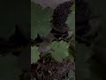 #funny