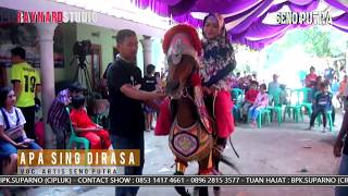 APA SING DIRASA LIVE MUSIC MANUK DANGDUT SENO PUTRA