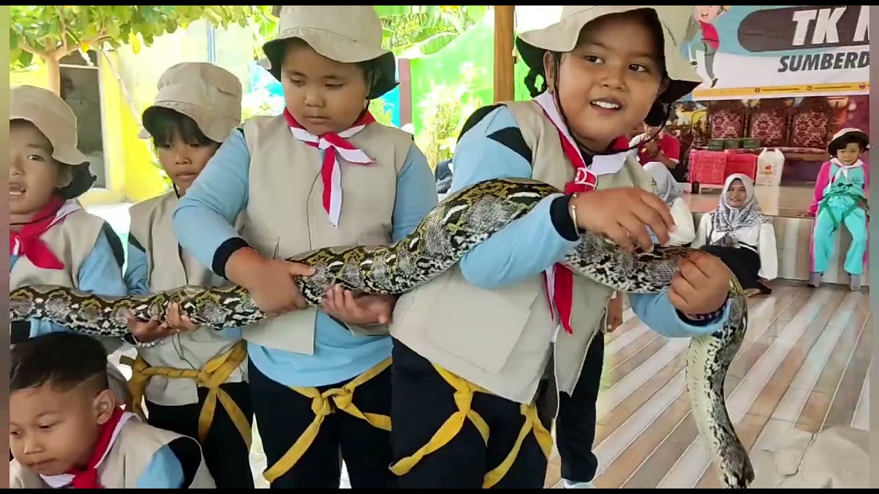 Outbound anak di Sendang Wangi Tuban - TK Nusa Indah Sumberdadi Mantup Lamongan