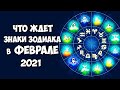 Что ждёт Знаки Зодиака в феврале 2021 года