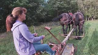 How To Mow Hay With Horses