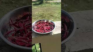 রবিবার এর সকাল 😊।#minivlog #viralvideo #shortvideo #ytshorts #vlog #nursingstudent #viralshort