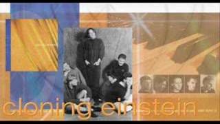 Cloning Einstein "It's Hard"