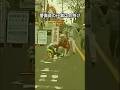 警備員の仕事は命懸け #shorts