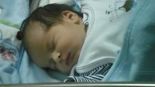 Luka Chaduneli ლუკა ჩადუნელი