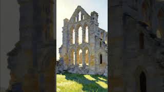 #classicalmusic #cello #viola #strings #stringduet #orchestral #healingmusic #relaxingmusic #ambient