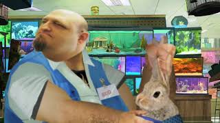 Fish Hooks - Le Card Season 1 Compilation