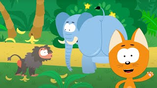 El gatito Koté | El trasero del babuino | Canciones infantiles y dibujos animados