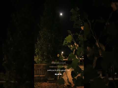 كلام روب هنا