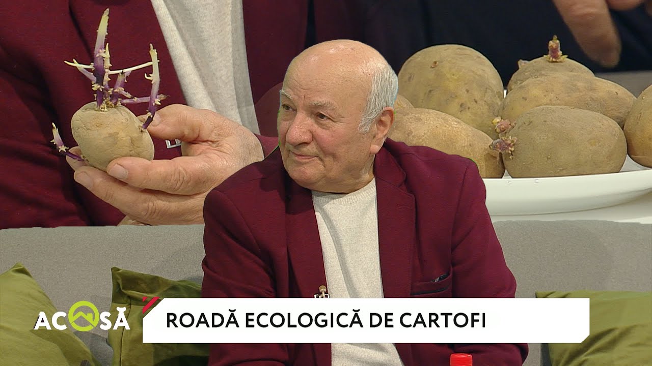 Cartoful - cum trebuie plantat, la ce temperatură a solului şi cum putem obţine o roadă bogată