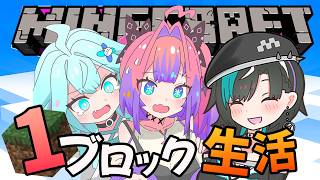 【 Minecraft 】最終日!初めてのマイクラワンブロック生活!【#綺々羅々ヴィヴィ #hololiveDEV_IS #FLOWGLOW】