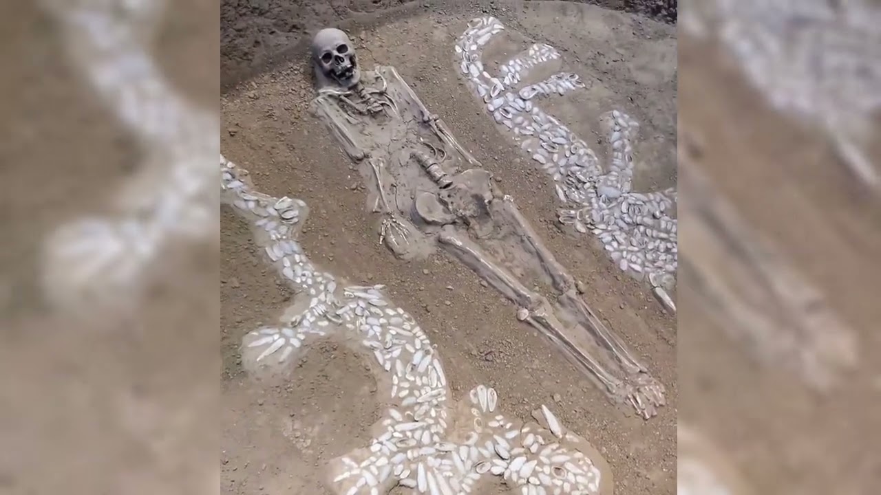 走進華夏神木博物館｜千年神木的文明印記