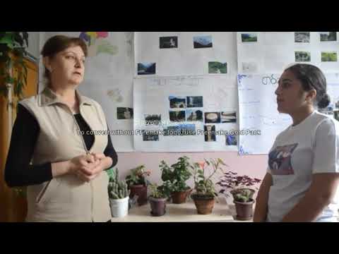 უსაფრთხო სკოლა – მეორე სკოლის ვიდე–რგოლი