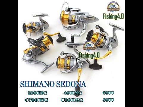 Video Máy Câu Shimano SEDONA 2500 3000 4000 5000 6000 8000... - youtube