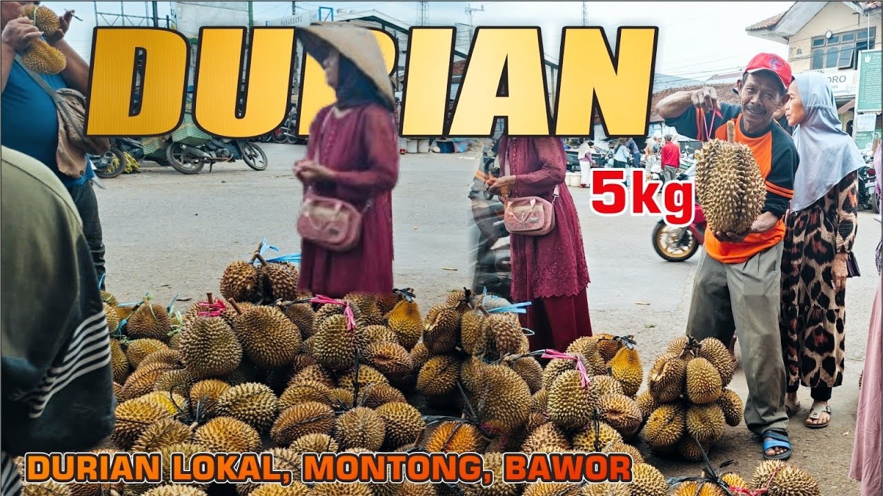 UPDATE HARGA DURIAN || 20rb DAPAT DURIAN BESAR DI PASAR DORO
