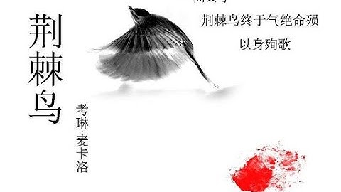《荊棘鳥》上：他引誘寡婦、與少女曖昧不清，「導演」一場掙扎的曠世絕戀 - 天天要聞