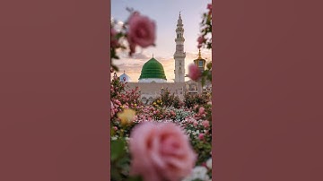 "طمأنينة القلب في مواجهة الانتقادات | آية القرآن الكريم"#اسلام_صبحي #quran #اكسبلور #قرآن_كريم#duet