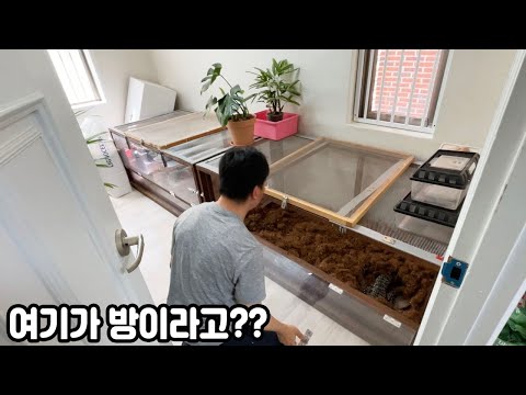 집 전체를 파충류방으로 만든 부산 싸나이ㄷㄷ