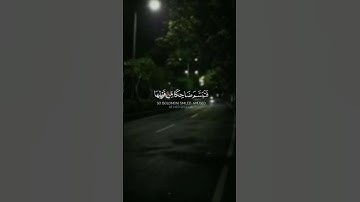 فَتَبَسَّمَ ضَاحِكًا مِّن قَوْلِهَا – #قرآن #تلاوة #ياسر_الدوسري #تدبر #اسلاميات #قرآن_كريم #خشوع