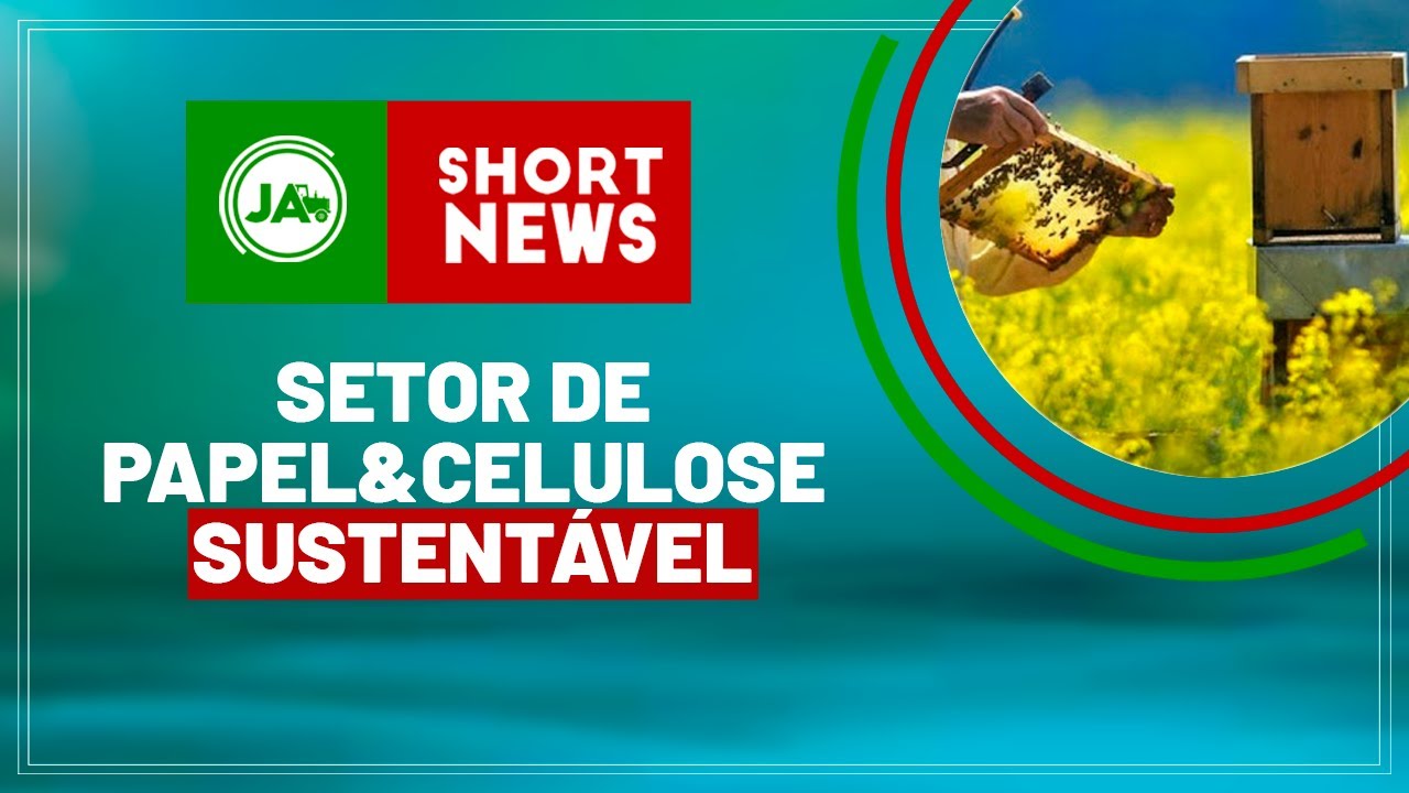 Setor de Papel e Celulose Sustentável - YouTube