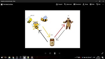 Pràctica 3 programació concurrent (UIB)