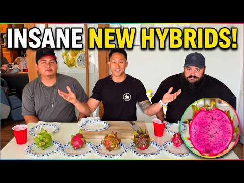 Trying Some NEW Crazy Dragon Fruit HYBRIDS! A3 x Sin Espinas & American Beauty x Lake Atitlan