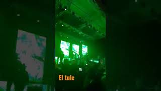 Fiesta patronal el Tule #grupolegitimo #fiesta #bailes #bailes2023