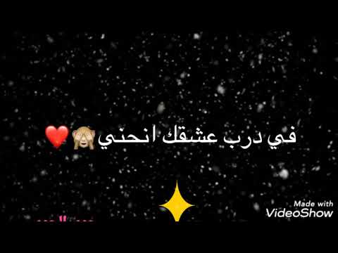حلات واتس يا طائر الحب بدون مسيقى