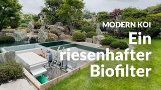 Sebastian's drum filter system for a 75,000-liter pond | Modern Koi Blog #6861