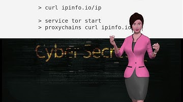 Cyber Secrets Quick Tip: curl external ip