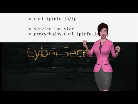 Cyber Secrets Quick Tip: curl external ip