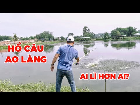 Giao Lưu Câu Cá Tại Hồ Ao Làng Bến Cát | Câu Cá Hồ Dịch Vụ | Chung Nguyễn Fishing