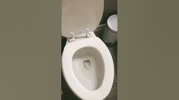 What to do when a mice spawns in your bathroom