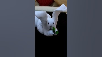 HOW TO MAKE TOWEL  RABBIT | TOWEL ORGAMI.TOWEL ART.