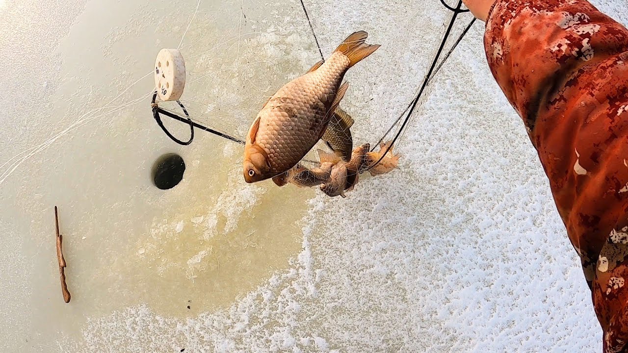 УГАДАЛИ НА ЯМУ ЗАБИТУЮ РЫБОЙ!!! ОГРОМНЫЕ КАРАСИ ЕЛЕ ПРОХОДЯТ В ЛУНКИ! ХАПУГИ НА ПРЕДЕЛЕ, ЭМОЦИИ ТОЖЕ