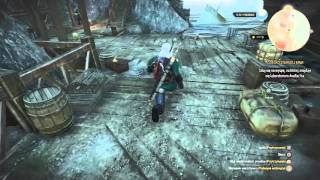 The Witcher 3: Wild Hunt Funny Walking BUG