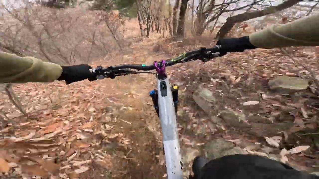 혼자 갓댐 다운힐