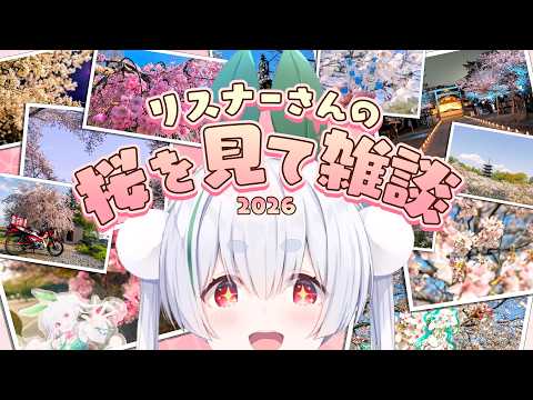 【朝活／雑談／ライブ】4/19日曜日🌸ここだけ全国対応お花見会場！元気に「おはよう」と「いってらっしゃい」配信！【雪兎ちゃう／vtuber／配信中】のサムネイル