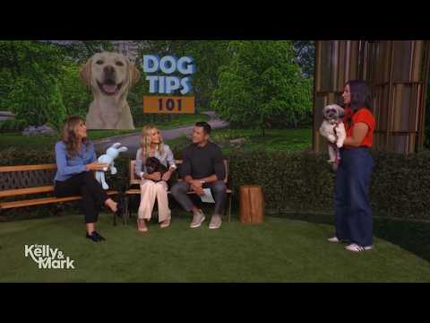 Dog Tips 101 with Jaime Goodrich