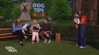 Dog Tips 101 with Jaime Goodrich @LiveKellyandMark
