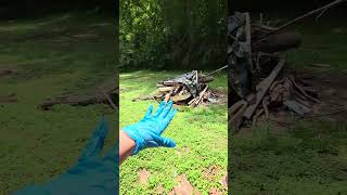 8-6-26 425 Ashe Cabin Hollow Rd Harriman, TN (865)617-4783 Amber Nestor Agent