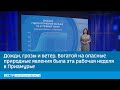 Дожди, грозы и ветер. Богатой на опасные природные явления была эта рабочая неделя в Приамурье