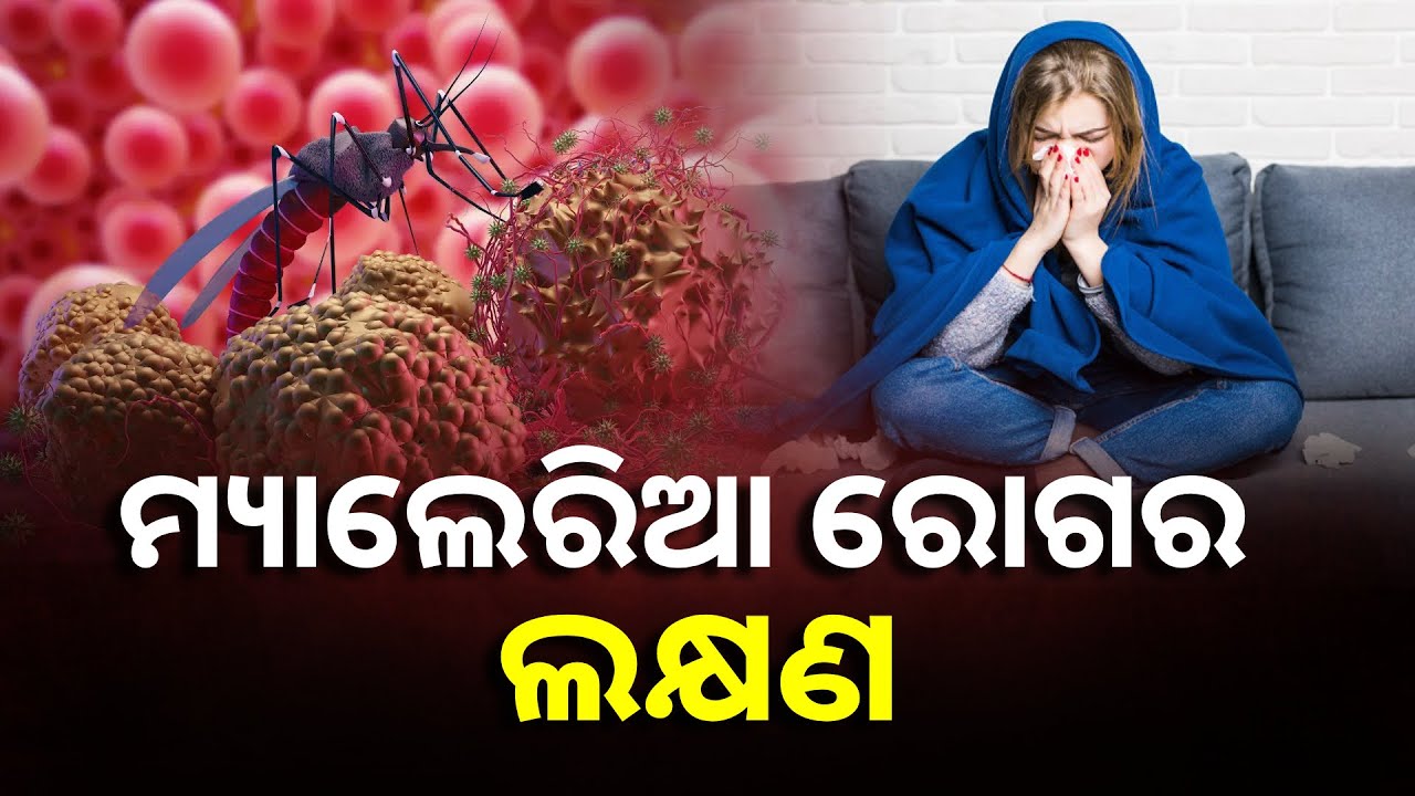 ମ୍ୟାଲେରିଆର ପ୍ରକୋପରୁ ବଞ୍ଚିବା ପାଇଁ ଚାହୁଁଛନ୍ତି କି ? ଜାଣନ୍ତୁ କ’ଣ କରିବେ || Knews Odisha