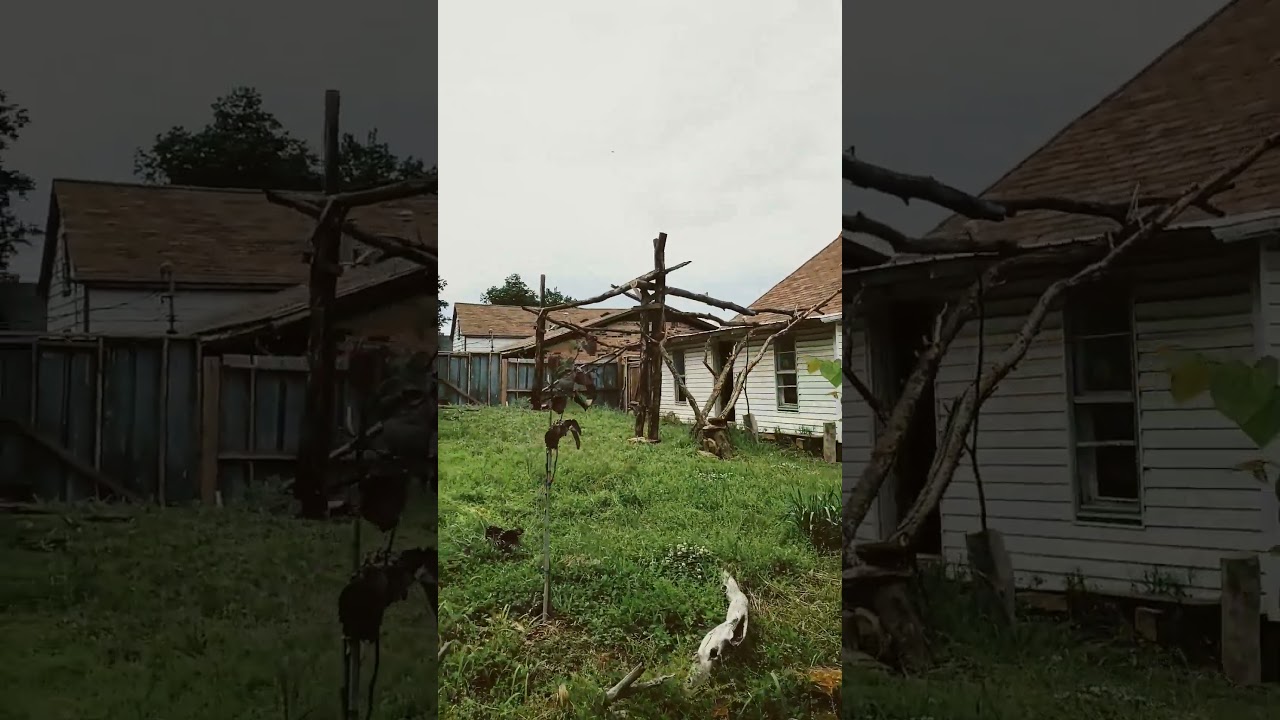 ...log patiocover up...mostly...a few rafters to find and put up...LOVIN IT!!!!!