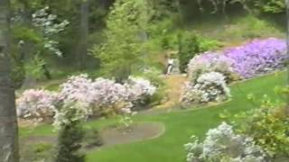 Biltmore In Spring