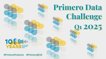 Primero Data Challenge Q1 - February 27, 2025